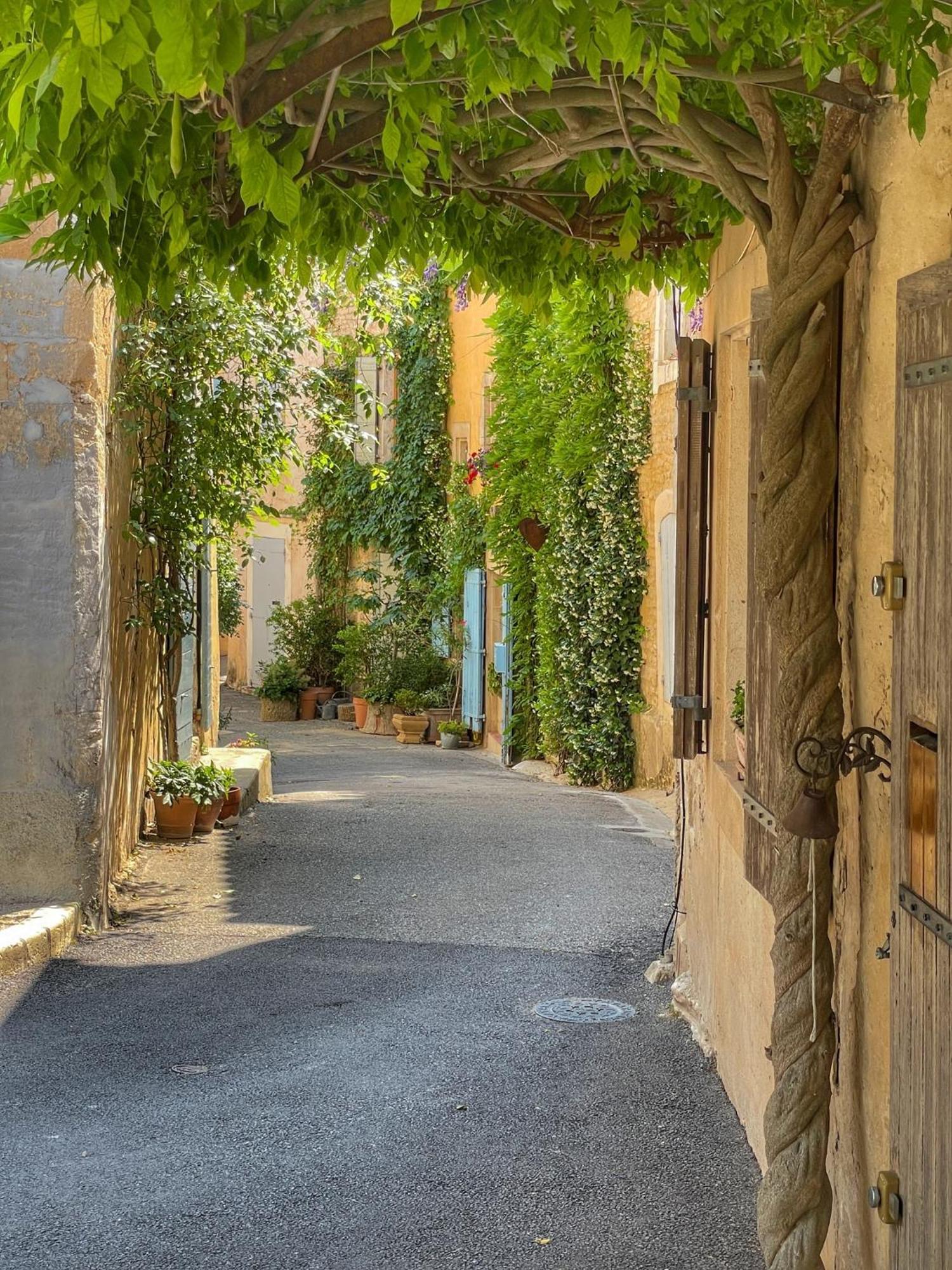 Le Petit Delphia Apartment Apt Bagian luar foto
